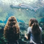 Profile Picture of Danny Whittaker (@Danny-Whittaker) on Facebook