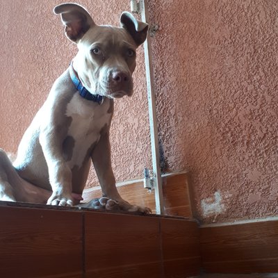 Profile Picture of Daniel Yol (@danilopez47) on Twitter