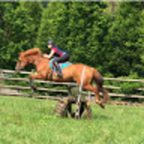 Profile Picture of Carly rutledge Eventing (@ceventing) on Poshmark