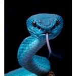 Profile Picture of Anil Jacob Mathews (@anil.mathews.18) on Instagram