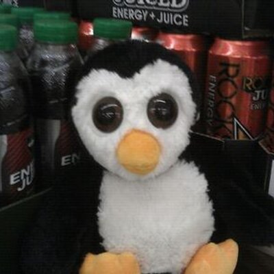 Profile Picture of Robert Plattner (@Robert39320525) on Twitter