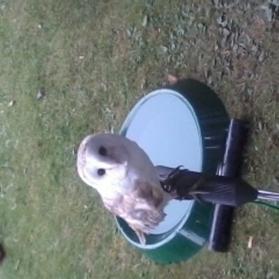 Profile Picture of Jillian Strange (@StrangeJillian) on Twitter