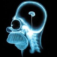 Profile Picture of Joseph Groom (@joseph-groom) on Quora