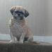 Profile Picture of Ruby Molsher (@ruby.molsher.7) on Facebook