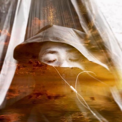 Profile Picture of J3ZZ ᪥ 𝙹𝚎𝚛𝚘𝚖𝚎 𝙻𝚒-𝚃𝚑𝚒𝚊𝚘-𝚃𝚎 🎼 (@iamj3zz) on Twitter