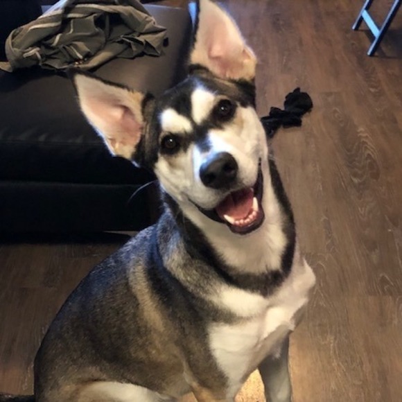 Barb Zaguroli - Poshmark Profile Picture of Barb Zaguroli (@jzag7782) on Poshmark