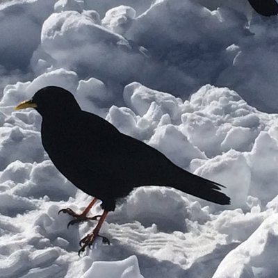Profile Picture of Richard Clough (@RichardClough20) on Twitter