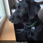 Profile Picture of bradanfinson42 (@bradanfinson42) on Instagram