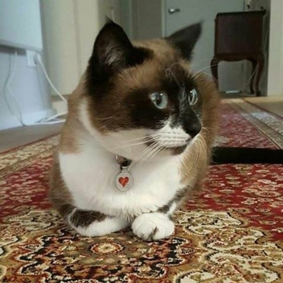 Profile Picture of Susan Read (@susan_read) on Poshmark