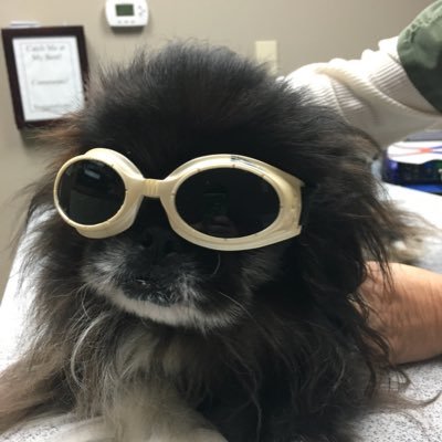 Profile Picture of Sean Seibert (@Seanseibert3) on Twitter