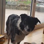 Profile Picture of isaac williams (@isaac_williams9899) on Instagram