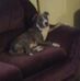 Profile Picture of David Mcgowin (@david.mcgowin.779) on Facebook