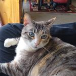 Brianna Lindsey - Instagram Profile Picture of Brianna Lindsey (@bri_lindsey11) on Instagram