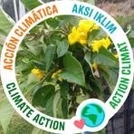 Profile Picture of Alejandro Llangari (@alendro.llangari) on Facebook