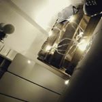 Profile Picture of Lara Romo (@lara_romodiaz) on Instagram