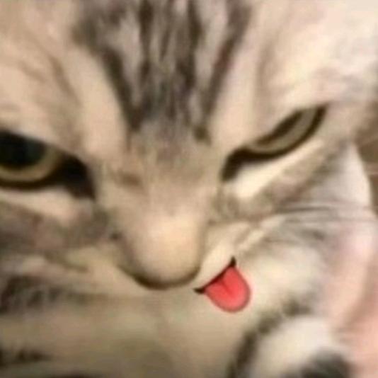 Profile Picture of STUAR (@...stuar_) on Tiktok