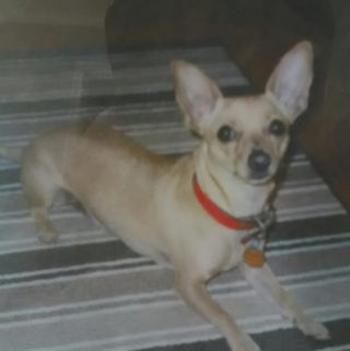 Profile Picture of Bobbie Certain (@bobbie.certain) on Facebook