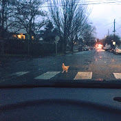 Profile Picture of Kaleb Graham (@kalebgraham7086) on Youtube