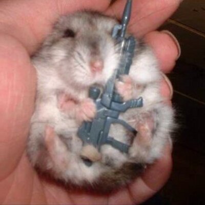 Profile Picture of Kenneth Reiss (@NycSoundguy75) on Twitter