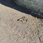 Profile Picture of Bartholemew Thomas (@Bartholemew-Thomas) on Facebook