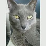 Barbara Gallagher-Serafino - Instagram Profile Picture of Barbara Gallagher-Serafino (@barbaraserafino) on Instagram