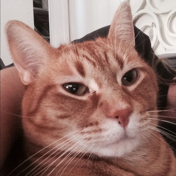 Profile Picture of Kassie Hendrixson (@khendrixson) on Poshmark