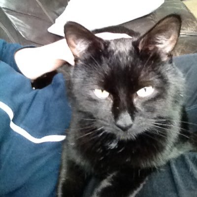 Profile Picture of Thomas Levi Osborne (@ThomasOsbo1) on Twitter