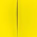 Profile Picture of Pablo Pamucio (@pablopamucio) on Pinterest