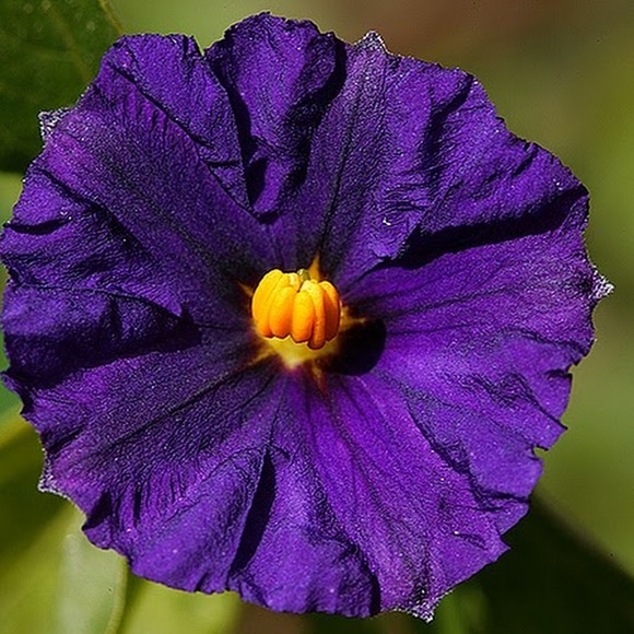 Angie Konold - Poshmark Profile Picture of Angie Konold (@angiekonold) on Poshmark