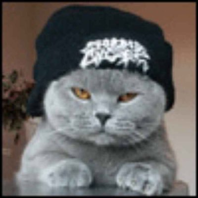 Profile Picture of TOM TAO (@tomtao_canada) on Twitter