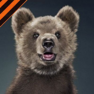 Profile Picture of Daniel Mironov (@daniel_mironov) on Twitter