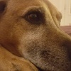 Profile Picture of Jeff Emerson (@@jemerson12364) on Tiktok