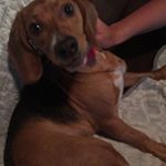 Profile Picture of Ian (@ianlaird19) on Instagram