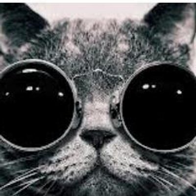 Profile Picture of Bryan Adam Ferns (@FernsAdam) on Twitter