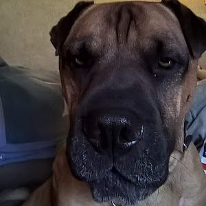 Profile Picture of danmundt (@danmundt430) on Tiktok