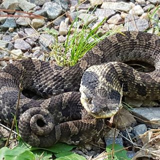 Profile Picture of John Plunkett (@john.plunkett.944) on Facebook