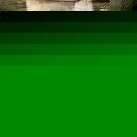 Profile Picture of Sofia Afonso (@sofspga) on Myspace