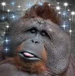 Profile Picture of Joseph Sitter (@joseph.sitter) on Facebook