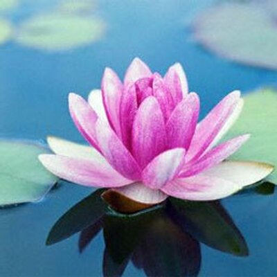 Profile Picture of Kevin McKiernan (@FloydSuchola) on Twitter