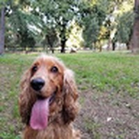 Profile Picture of Juan Fu (@juan-fu-7) on Quora