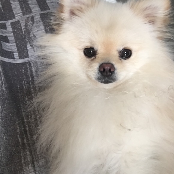 Profile Picture of Melinda Eriksson (@melindas_) on Poshmark