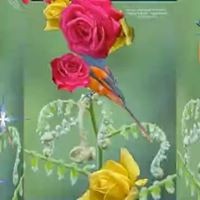 Anil Sheth - Quora Profile Picture of Anil Sheth (@anil-sheth-5) on Quora