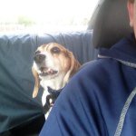 Thomas Spillman - Instagram Profile Picture of Thomas Spillman (@tspillman) on Instagram