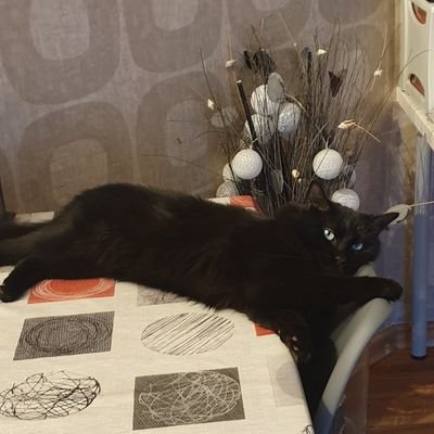 Profile Picture of Alyssa Julien (@AlyssaJulien7) on Twitter