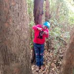 Profile Picture of George dacoster (@geor.ge1545) on Instagram