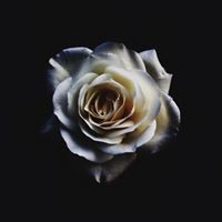 Profile Picture of Valbona Brahaj (@valbona-brahaj) on Quora