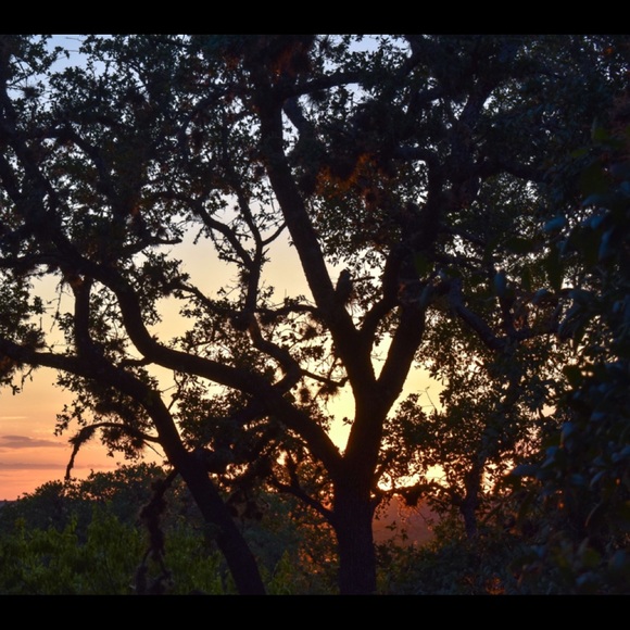 Profile Picture of Aubra Mizelle (@fayth1213) on Poshmark