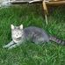 Profile Picture of Dexter Topping (@dexter.topping) on Facebook