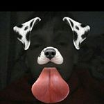 Profile Picture of Seth lucas (@set_lucas316_) on Instagram