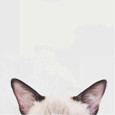 Profile Picture of Tracey Kong (@tracydaydreamer) on Twitter